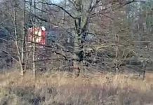 Kobieta potrącona przez pociąg w Zielonej Górze. Zginęła na miejscu