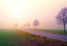 Uwaga kierowcy. Duże zamglenie w regionie