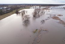 Tak wygląda Odra koło Cigacic. Przekroczone stany alarmowe (ZDJĘCIA CZYTELNIKA)