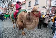 W sobotę w Zielonej Górze Lubuski Orszak Trzech Króli. Atrakcją będzie wielbłąd