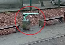 Bulwersujące. Wrzucił hulajnogę Bolta do śmietnika w Zielonej Górze (FILM CZYTELNIKA)