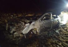 Skradziony w Zielonej Górze peugeot doszczętnie spalony (ZDJĘCIA)