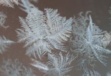 Jest zimno, ale za to tak pięknie maluje mróz. Zdjęcia w przybliżeniu (ZDJĘCIA)