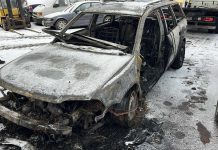 Makabra w Zielonej Górze. Znaleziono ciało w spalonym samochodzie (ZDJĘCIA)