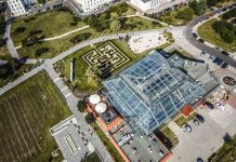 Tak wygląda zielonogórska Palmiarnia na filmie z drona naszego czytelnika (FILM)