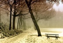 Środa w Zielonej Górze cały czas mroźna