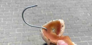 Uważajcie na psy. Teraz mortadela naszpikowana drutem rozrzucona w Zielonej Górze