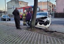 Wypadek w Nowogrodzie Bobrzańskim. Samochód uderzył w drzewo. W aucie dziecko