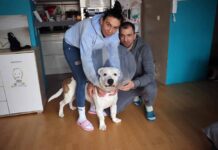 Jazz zjadł kiełbasę z drutem. Ma się coraz lepiej. – To dzięki Wam wszystkim, moc podziękowań dla wszystkich – mówi Paulina Materna