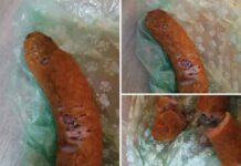 Uwaga. Kiełbasa ze śrubami rozrzucona w kolejnym miejscu Zielonej Góry. Uważajcie na psy