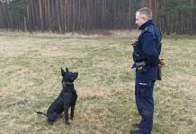 Zielona Góra. Izi ma silne szczęki i dogoni każdego (FILM, ZDJĘCIA)