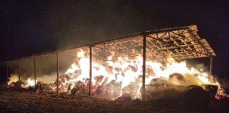 Gigantyczny pożar koło Przytocznej. Spłonęły baloty słomy (ZDJĘCIA)