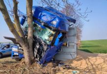 Ciężarówka wbiła się w drzewo. Kabina zmiażdżona