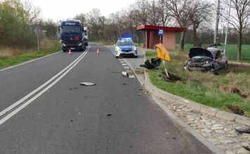 Zderzenie mazdy i opla. Jeden z samochód wpadł z drogi (ZDJĘCIA)