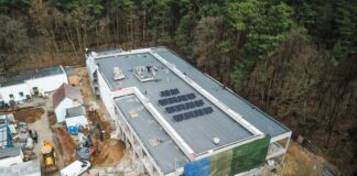 Wybieramy nazwę schroniska dla bezdomnych zwierząt w Zielonej Górze