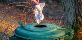 W sobotę społeczne sprzątanie parku Braniborskiego w Zielonej Górze