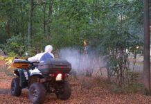 W Zielonej Górze ruszyła walka z komarami i kleszczami