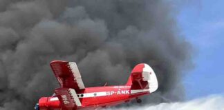 Pożar zboża koło Lubna. Wezwano samolot gaśniczy