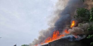 Potężny pożar hali w Trzebiechowie. Wszystko w ogniu (ZDJĘCIA CZYTELNIKA)