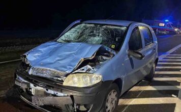 Śmiertelne potrącenie trzech kobiet w Kargowej. Jest decyzja sąd na brak aresztu 22-latka