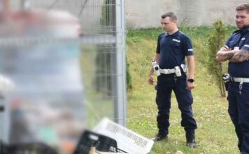 Okradali markety Dino. Skradzione artykuł sprzedawali z bagażnika auta