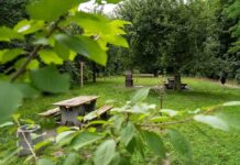 Mamy Leśny Sad. Nowe miejsce do grillowania i wypoczynku w Zielonej Górze