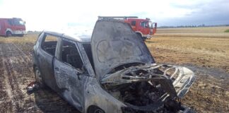 Pożar samochodu na polu. Skoda spłonęła doszczętnie (ZDJĘCIA)