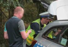 Pijany kierowca wpadł na akcji drogówki w Zielonej Górze (ZDJĘCIA)