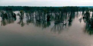 Odra koło Cigacic ma 645 cm i tak się długo utrzyma