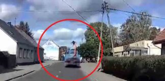 Zapomniał złożyć dźwig. Zahaczał po drodze o drzewa i linie energetyczne (FILM)