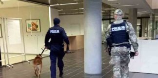 Podejrzana torba znaleziona w bibliotece Uniwersytetu Zielonogórskiego (FILM)