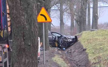 Dramatyczny wypadek pod Świebodzinem. Volkswagen uderzył w drzewo. W aucie dziewięć osób (ZDJĘCIA)