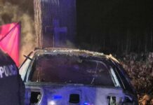 Zielona Góra. Seatem uderzył w drzewo z krzyżem i spłonął. W to samo drzewo oplem uderzyła 21-latka, zginęła na miejscu (ZDJĘCIA)