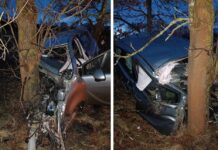 Drogowa masakra pod Zieloną Górą. Z auta wypadł silnik (ZDJĘCIA)