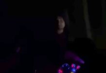 Chwile grozy koło Nowogrodu Bobrzańskiego. Myślał, że jest… na polowaniu, chciał zabijać wilki (ZDJĘCIE CZYTELNIKA)