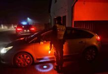 Zielona Góra. W święta 195 interwencji policji