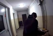 Uwaga! Złodziej chodził po bloku w Zielonej Górze (FILM)