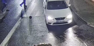 Horror na pasach. Pieszy wyleciał w powietrze (FILM)