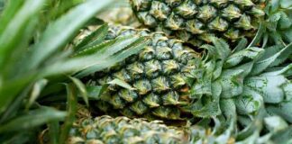 Nie wolno jeść ananasa z tego marketu