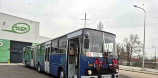 Legendarny Ikarus wyjedzie na ulice Zielonej Góry