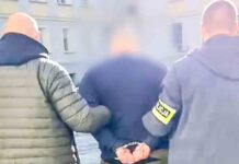 Zielona Góra. Zatrzymany bandyta poszukiwany w Polsce i Niemczech. Ma dużo na sumieniu (FILM)