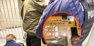 Akcja policji i KAS. Zlikwidowany lewy salon gier, przejęte 1,3 kg narkotyków (FILM)