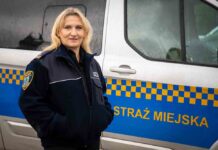 Praca w zielonogórskiej straży miejskiej