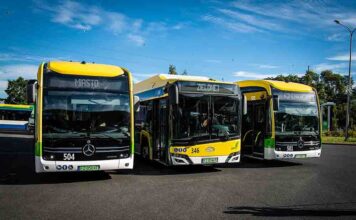 Zielona Góra. Kiedy darmowe autobusy MZK dla wszystkich?