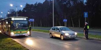 Akcja policji w Zielonej Górze
