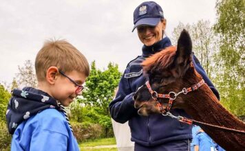 Krosno Odrzańskie. Maksiu bardzo potrzebuje naszej pomocy