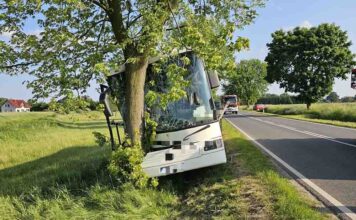 Autobus uderzył w drzewo w Bojadłach. Kierująca kompletnie pijana