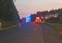 Pod Zieloną Górą spłonął samochód elektryczny