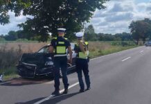 Śmiertelny wypadek koło Bojadeł. Jest ważny komunikat zielonogórskiej policji