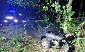 Wypadek na DK 92. Kierujący peugeotem uderzył w drzewo (ZDJĘCIA)